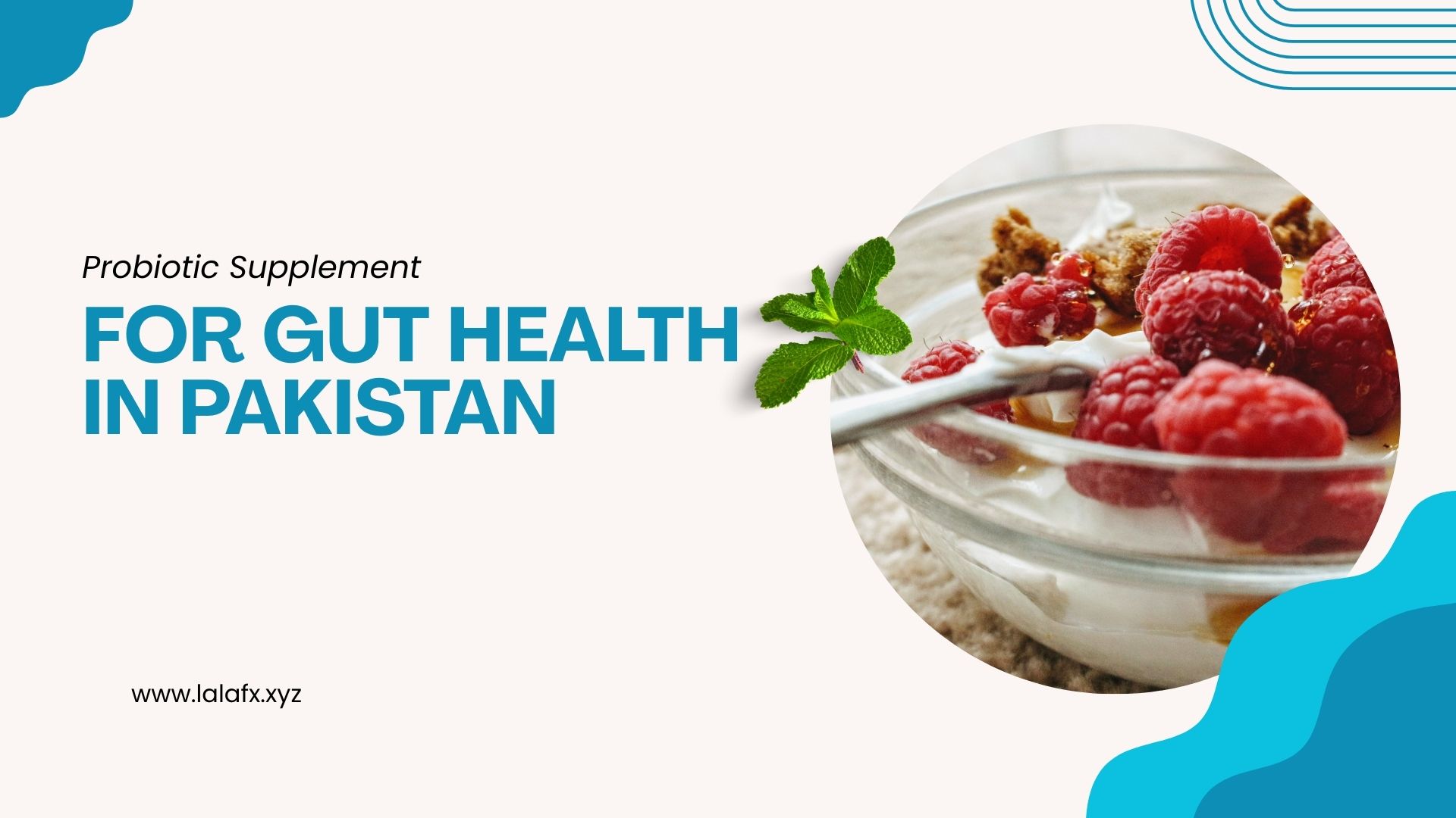 Probiotic Supplement for Gut Health in Pakistan